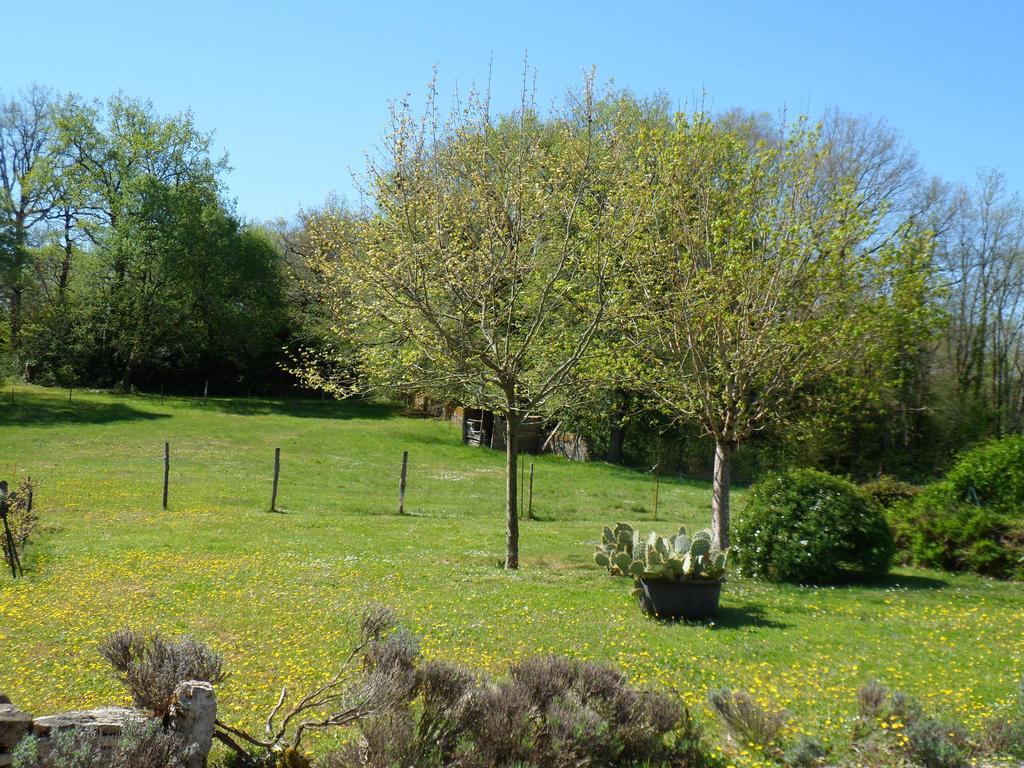 Domaine De La Vaysse Chambres D'hotes Guest house *
